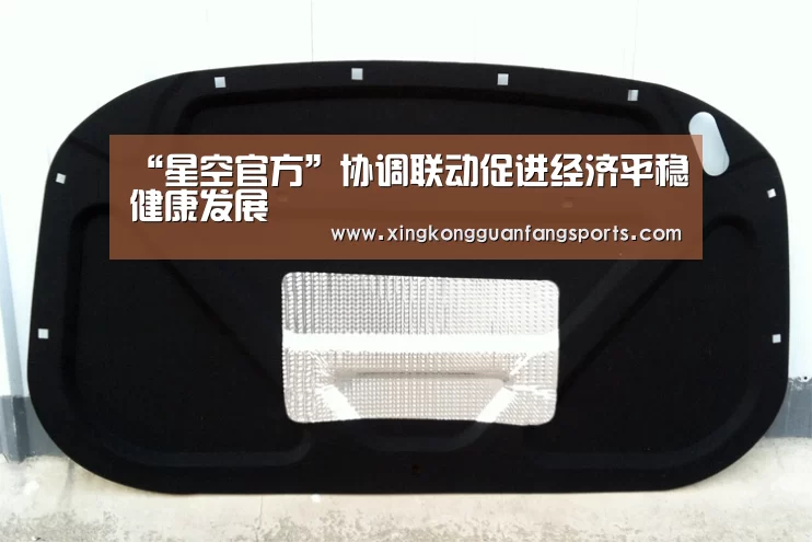 “星空官方”协调联动促进经济平稳健康发展(图3) 星空体育